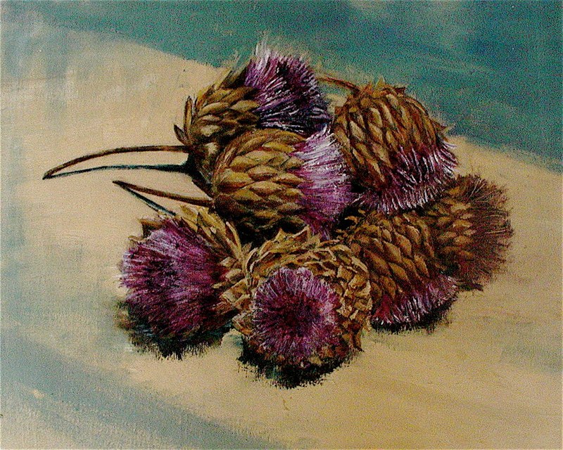 Artichokes In Flower