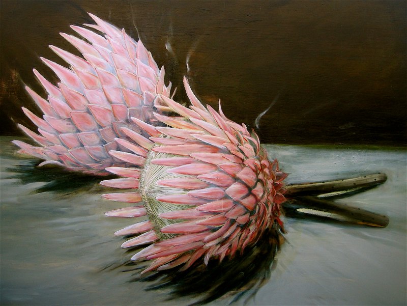 Protea