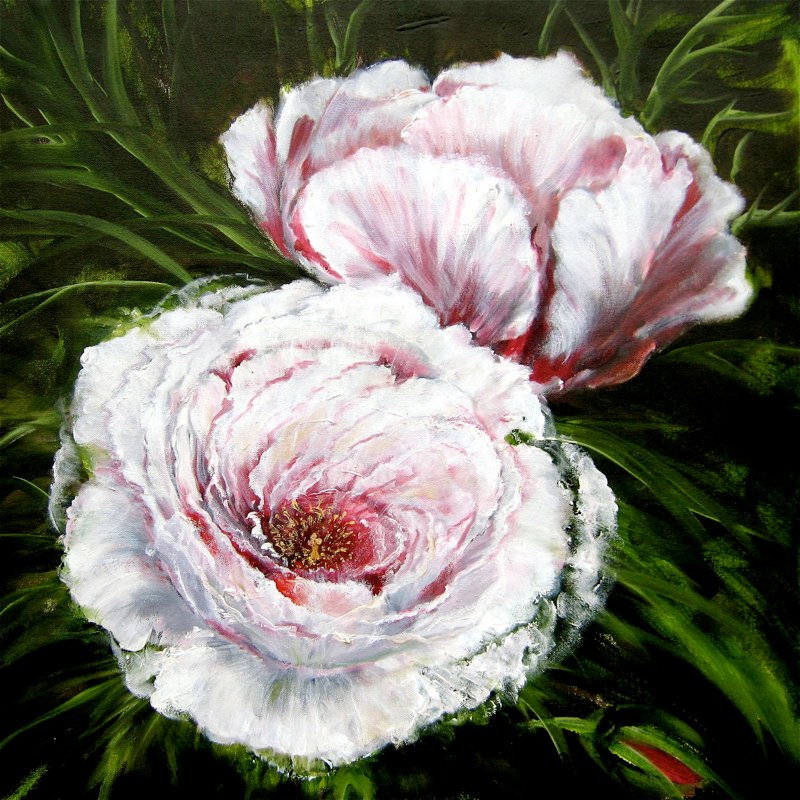 Tree Peony