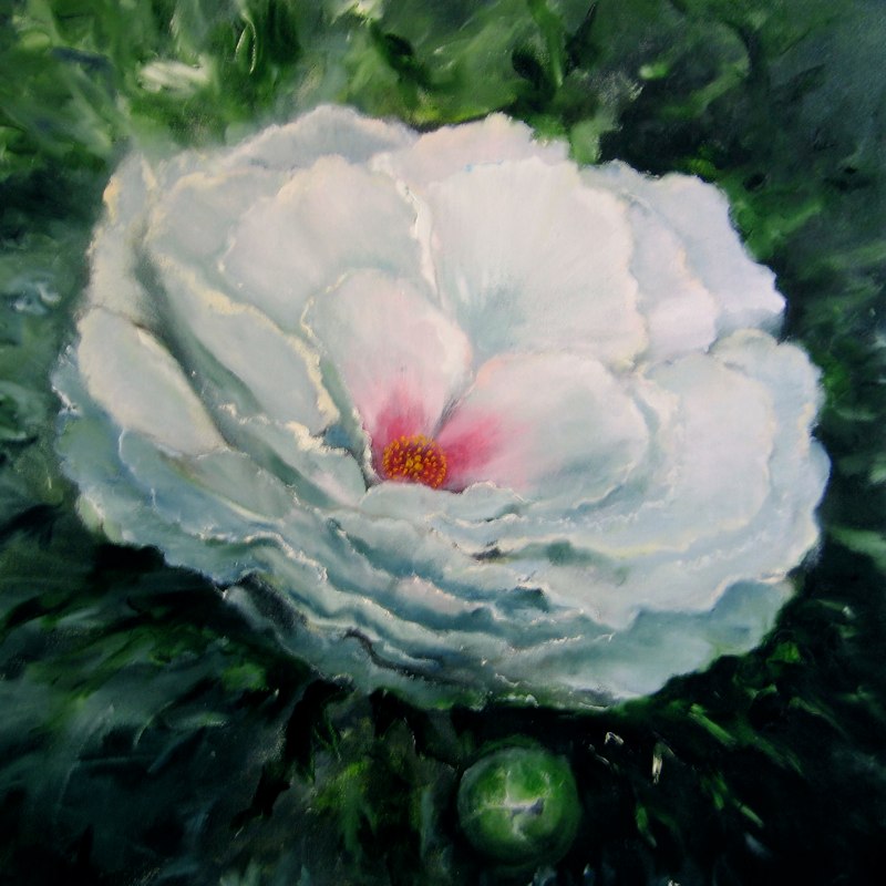 White Peony