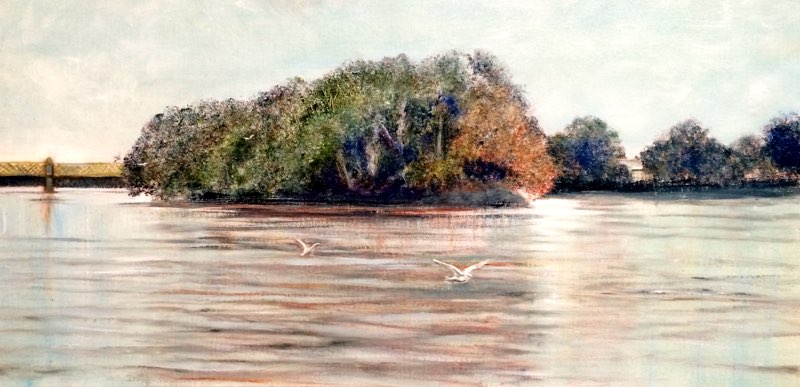 Oliver’s Island
