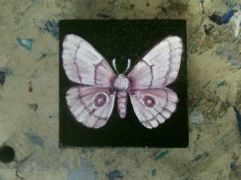 Pink Moth