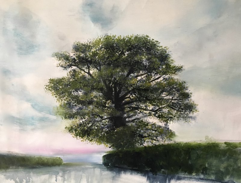 Old Oak In Spring 2