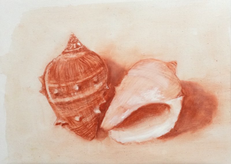 Shells 1