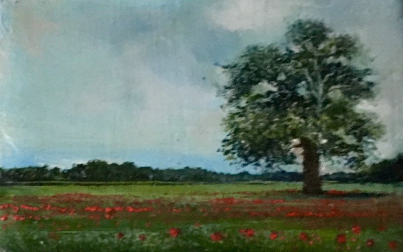 Berkshire Oak and Poppies