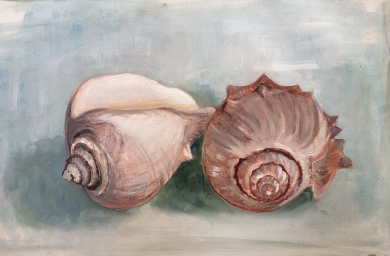 Shells 2